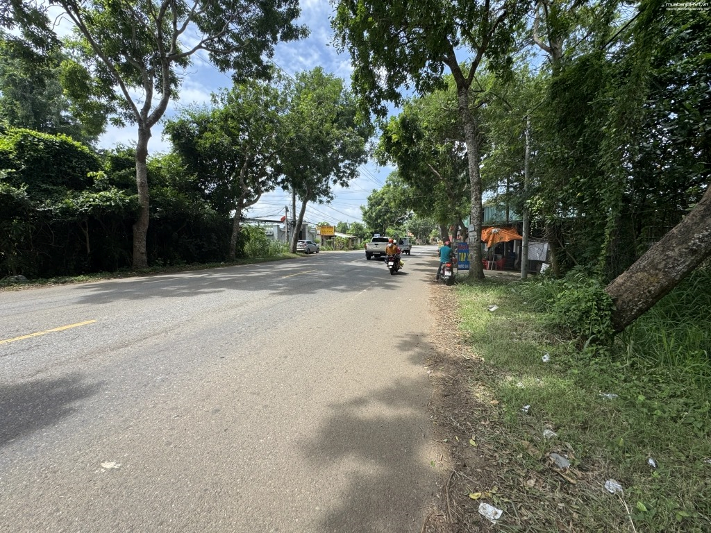 Phường Tam Long: Dịch vụ đo đạc địa chính đáng tin cậy | Dodacbinhthuan.com