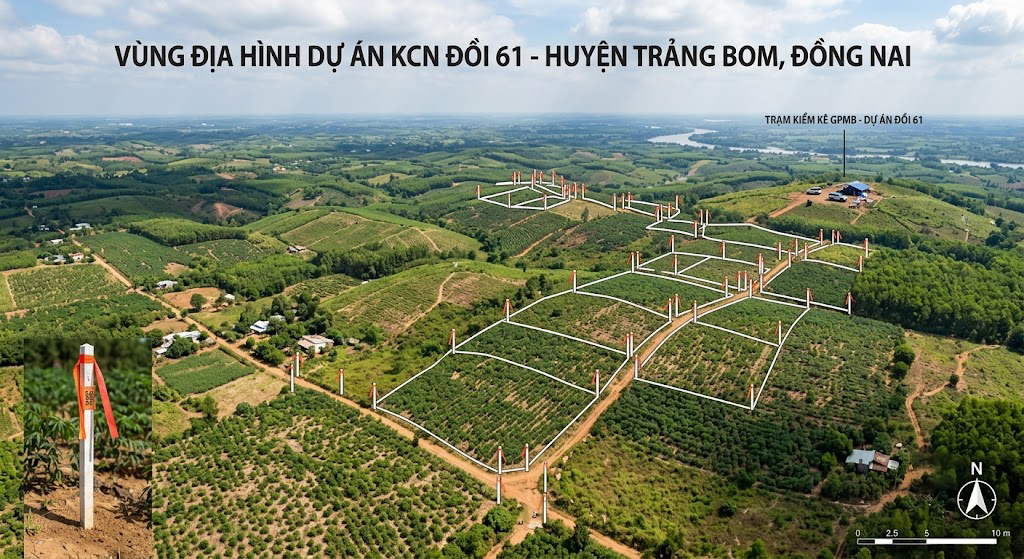 Toàn cảnh khu vực địa hình đồi nhấp nhô tại huyện Trảng Bom Đồng Nai – vùng ảnh hưởng dự án khu công nghiệp Đồi 61, với các mốc ranh giới thực địa được đóng cọc tạm thời phục vụ công tác kiểm kê đền bù giải phóng mặt bằng